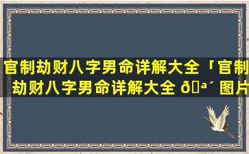 官制劫财八字男命详解大全「官制劫财八字男命详解大全 🪴 图片 🌴 」